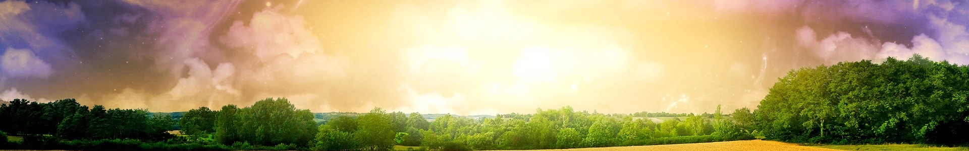 午夜成人免费电影